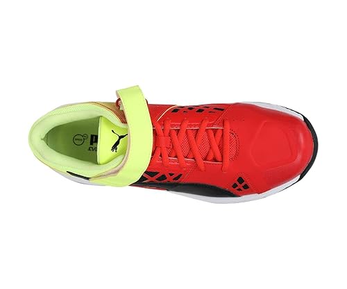 evospeed cricket shoes