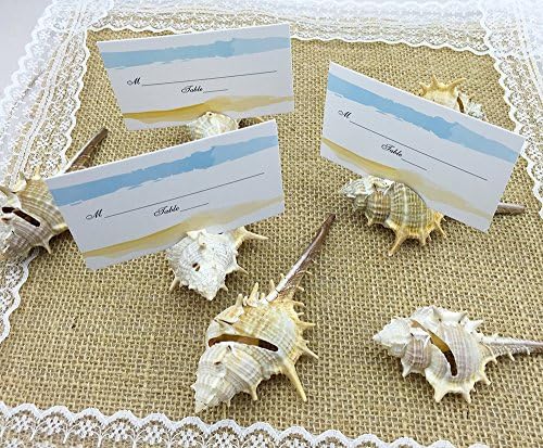 10pcs beach wedding shell card holders conch holder beach dinner party table wedding favour wedding table number card wedding decoration (Style #2)