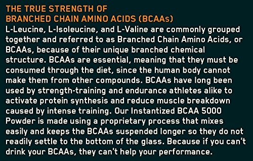 Optimum Nutrition Instantized BCAA 5000mg Powder, Unflavored, 345g