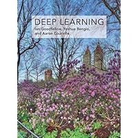 Deep Learning (Adaptive Computation and Machine Learning Series)