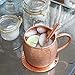 Alchemade Premium Quality Copper Drinking Straws - No mug required - Set of 5 - Perfect for Moscow Mules & All Other Beverages - Great Gift For Anyone