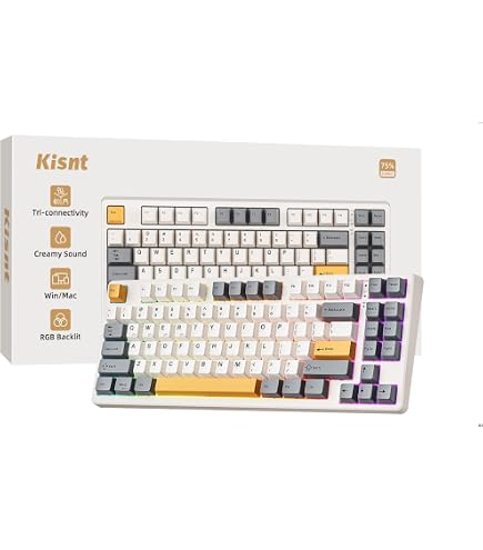 Amazon.com: Elecom Wireless Keyboard [2.4GHz ? USB] 2.4GHz