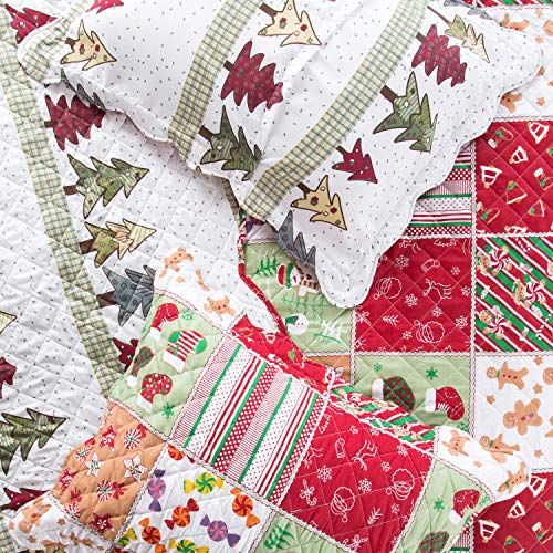 Bedsure Christmas Quilt Set King Size (106x96 inches) Multicolor