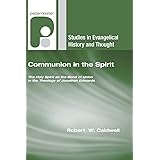 Communion in the Spirit: The Holy Spirit as the Bond of Union in the Theology of Jonathan Edwards (Studies in Evangelical His