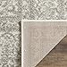 SAFAVIEH Adirondack Collection Accent Rug - 3' x 5', Ivory & Silver, Oriental Distressed Design, Non-Shedding & Easy Care, Ideal for High Traffic Areas in Entryway, Living Room, Bedroom (ADR101B)