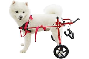 HobeyHove Adjustable Dog Wheelchair for Back Legs，Pet/Doggie Doggy Wheelchairs with Disabled Hind Legs Walking (S-Red)
