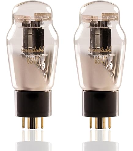 TMI☆ Amazon.com: Shuguang Treasure Cv181-z Vacuum Tube Matched