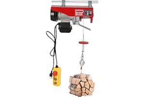 QUSKLISU Electric Hoist, 250kg Mini Electric Winch, 110V Steel Electric Lift with Emergency Stop Remote Control, Single/Double Slings for Lifting in Factories, Warehouses, Construction Sites