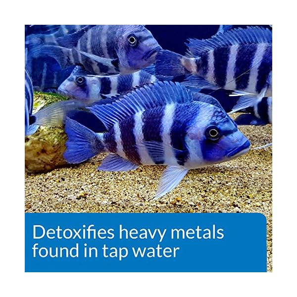 API TAP WATER CONDITIONER Aquarium Water Conditioner Bottle,White, 473 ml