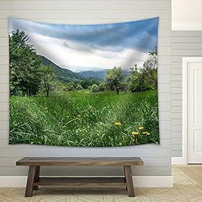 Dandelions in Green Grass in Untouchable Nature Field - Fabric Wall Tapestry Home Decor - 51x60 inches