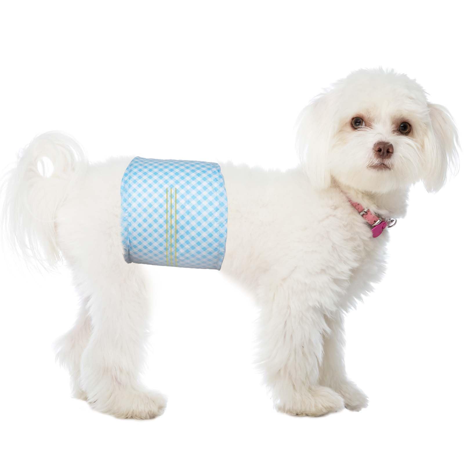 Flying Paws Male Dog Nappies, S-40 count, with Wetness Indicator Super Absorbent Dog Wraps, Adjustable Small Diapers for Male, Puppy Incontinence Pants