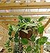 Metal Hanging Planter Basket Coco Coir Liner with Black Chain Garden Decoration Indoor Outdoor Flower Pots Set of 2-12 inch