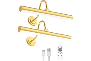 Bridika 2 Pack Picture Light Battery Operated, Picture Light for Wall with Remote, 3 Color Modes and Dimmable Classic Art Lights for Paintings, Gallery, Wall, Dartboard, Bedroom, with Timer Gold