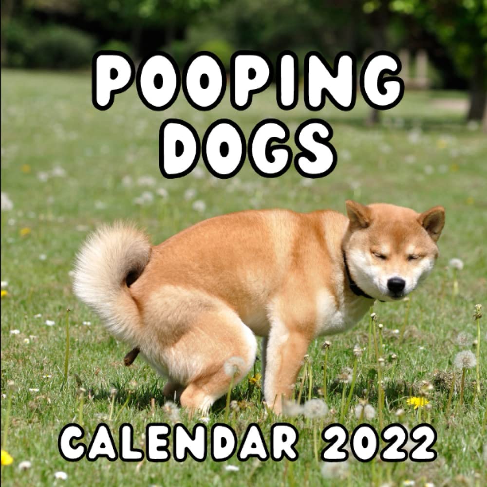 Pooping Dogs Calendar 2022: Funny Monthly Joke Calendar With Defecating Doggies | Hilarious White Elephant Gag Gift For Dog Lovers & Comical Secret ... Or Christmas Stocking Stuffer Present: Calendar Press, Ka