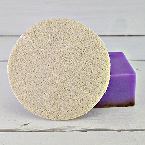 Loofah 3 Inch Scrubbie | Loofah Round | Exfoliating Disc | Facial Circle | Facial Cleansing | Facial Care | Spa Gift | Spa Party