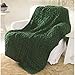 Caron Simply Soft Solids Yarn (4) Medium Gauge 100% Acrylic - 6 oz - Dark Sage - Machine Wash & Dry