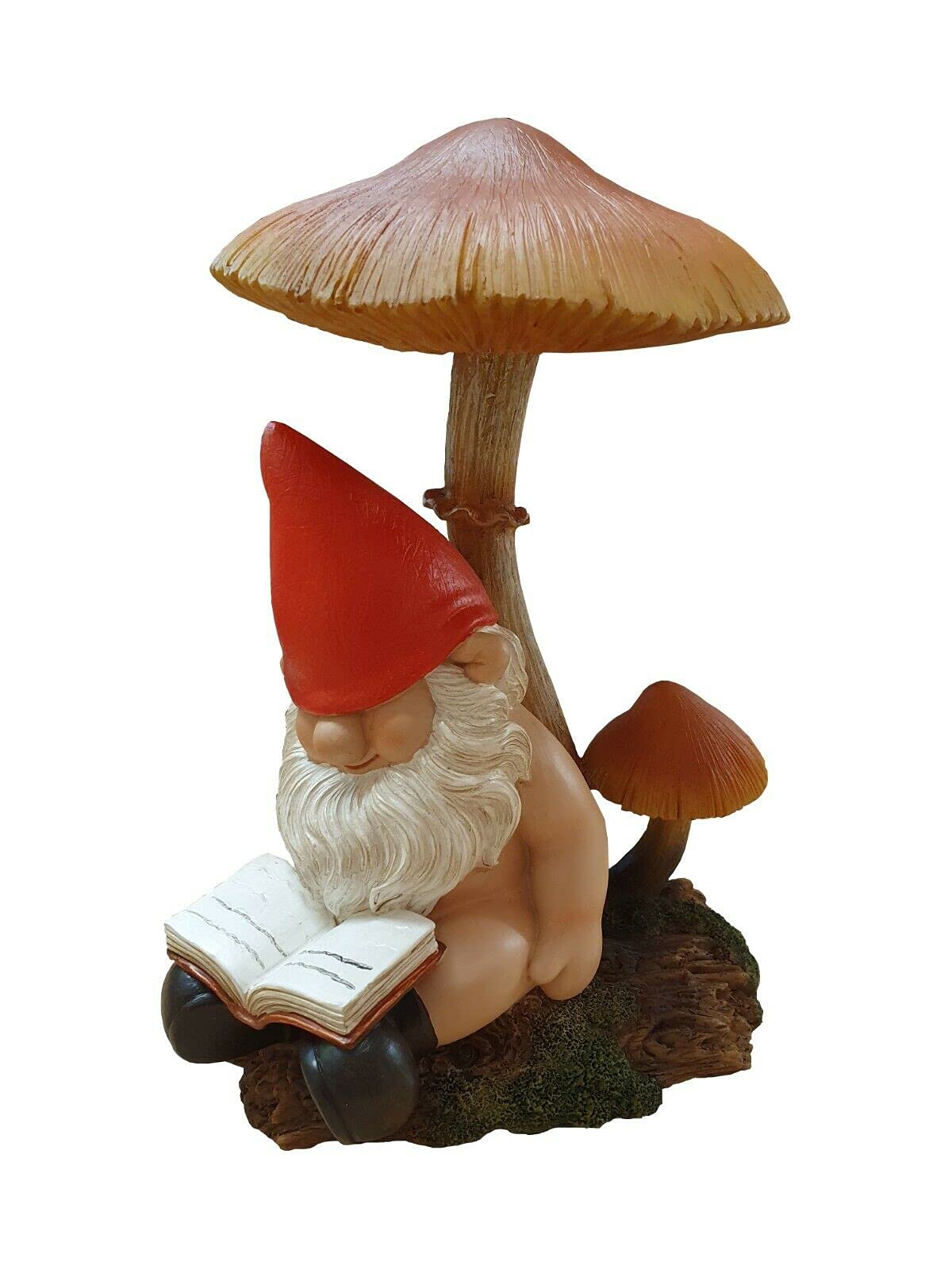 Vivid Arts Gnaughty Gnome on Toadstool Home or Garden Decoration (BG-PN79-F)