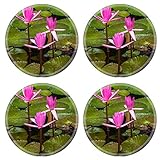 MSD Round Coasters Non-Slip Natural Rubber Desk