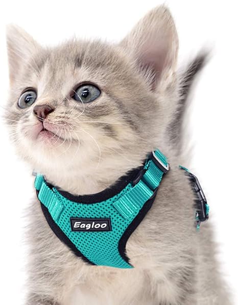 Eagloo Harnais Pour Chat Et Laisse Pour Petits Chats Avec Laisse Pour Ceinture De Securite De