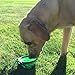 Collapsible Silicone Bowl / Water Travel Dish for Dogs or Cats, Plus Patent-pending Bottle Holder & Clip for On-the-Go use - 12oz - Green - BPA Free - FDA Approved (Bowl)
