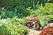 Gardener's Supply Company Garden Stool Rolling Cart with Bucket Basket Holder | Deluxe Tractor Scoot - Heavy Duty Garden Wagon with Adjustable Steering Handle, 360 Degree Swivel Seat & Utility Tray
