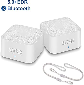 dual pairing bluetooth speakers