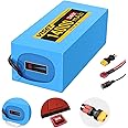 VISET 48V/36V/24V Ebike Battery 10AH 14AH 20AH 30AH Electric Battery Lithium with BMS, Compatible with E-Bikes, Scooters, ATVs, Motorcycles and More, for 100-1000W Motor