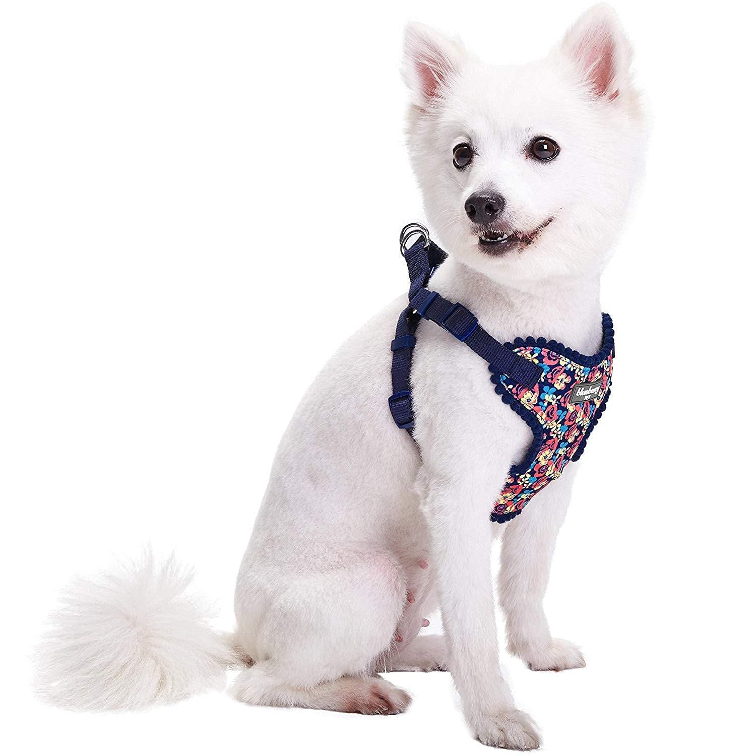 Blueberry Pet Spring Made Well Profound Floral Print Dog Harness Vest in Navy, Chest Girth 35cm-41cm, Neck 35cm-40.5cm, X-Small, Adjustable Harnesses for Dogs