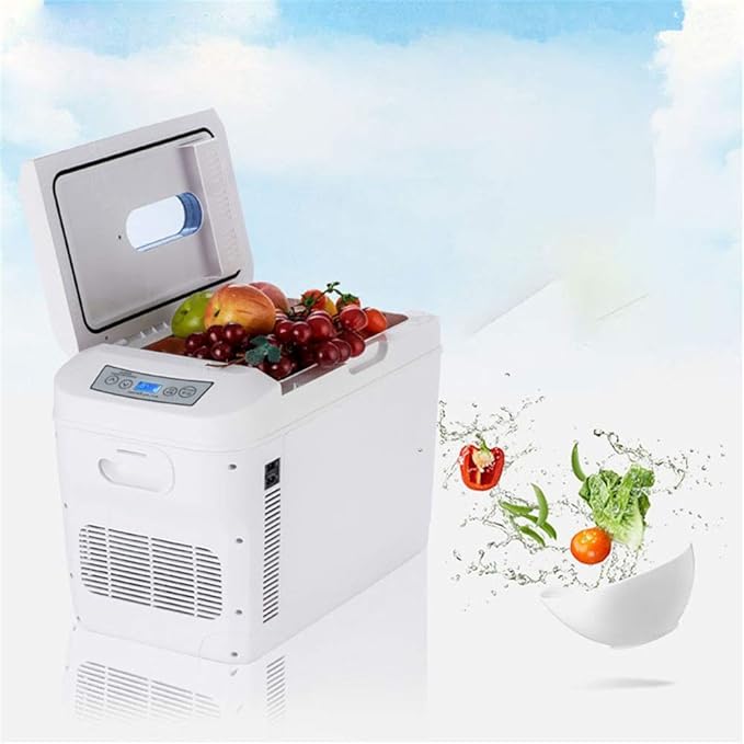 Caja fría eléctrica portátil Refrigerador compacto / calentador de ...