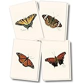 Earth Sky + Water - Butterfly Assortment Notecard Set - 8 Blank Cards with Envelopes (2 each of 4 styles)