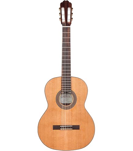 Amazon.com: Kremona Soloist S65C Full-Size Beginner Nylon