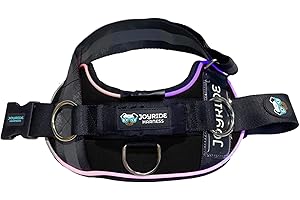 Joyride Harness LED Light Up Dog Harness 2.0 - Patent Pending Design, 3 LED Modes, Vibrant Rechargeable Lighting, Customizable Name Tag Area, and Convenient On/Off Button for Enhanced Pet Safety