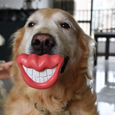 kong perros mercadolibre