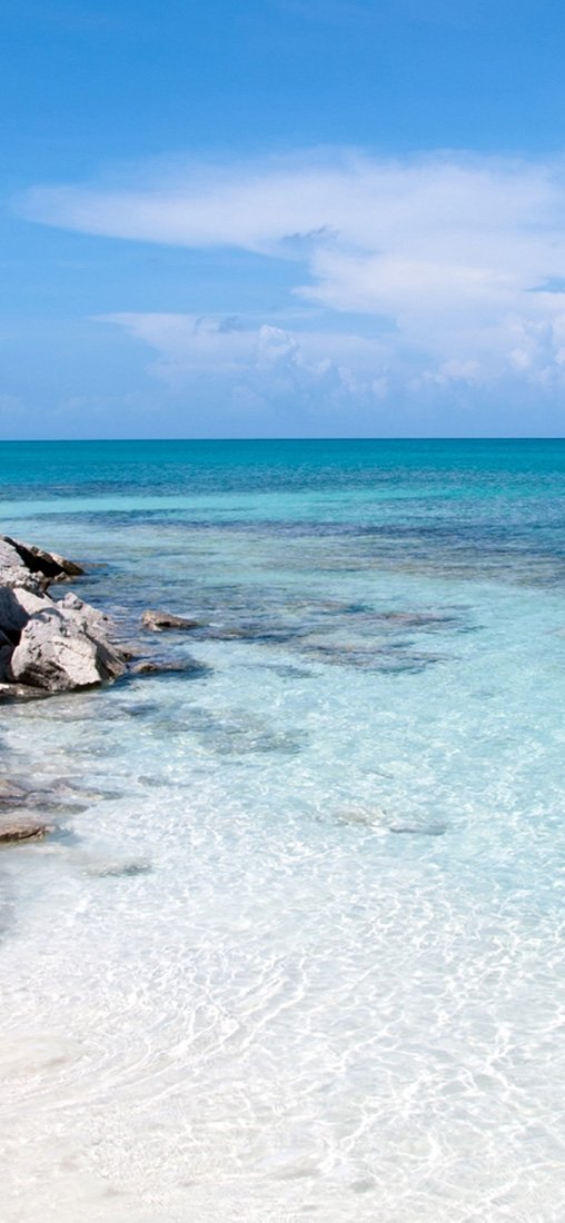 PeelitStickit, Beautiful Nature Wall Murals, ID-3183, vinyl