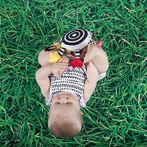 4 Manhattan+Toy+Whoozit+Stroller+Activity