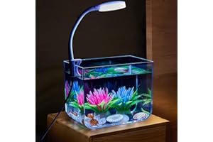 Large Square Small Fish Tank - Aquarium Starter Kit with 3W Clamp Light & Wall Mounted Filter, Anti-Slip Base, Small Fish Tan