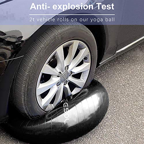 2 arteesol+Exercise+Stability+Professional+Resistant