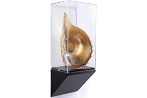 Displays2go, Wedge Style Wall Display Case, Acrylic, MDF Construction – Black, Clear Finish (DCWWDG10BK)