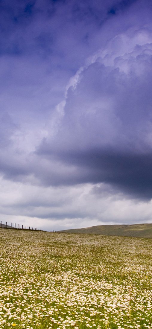 PeelitStickit, Beautiful Nature Wall Murals, ID-1284, vinyl