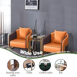 LFSEMINI Pool Cue Holder, 2-Cue Portable Pool Stick
