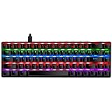 RaceGT Wired Mechanical Gaming Keyboard - 67 Keys Ultra-Compact Mini Keyboard, Wired USB Keyboards, Multi Color RGB Illuminat