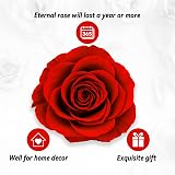 ADAZ Preserved Real Rose Gift Box with I Love You Necklace for Her view 5