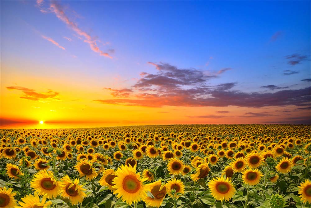SUPERPOWER® 1000 Piece Sunflowers Flower Sea Sunset Landscape Adults Games Wooden Jigsaw Puzzles Toys Family Photo Frame Gifts