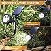 Solar Landscape Spotlight, 4-LED Bulbs Solar Landscape Lights 180 ° Adjustable Waterproof Outdoor Security Lighting 2-in-1 Wall Lights Auto On/Off for Backyard Driveway Patio Gardens Lawn Pool