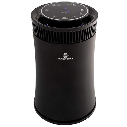 Best Personal Air Purifiers 10Reviewz