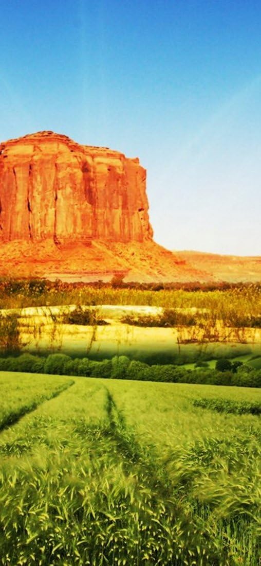 PeelitStickit, Beautiful Nature Wall Murals, ID-1422, vinyl, Multi-colour