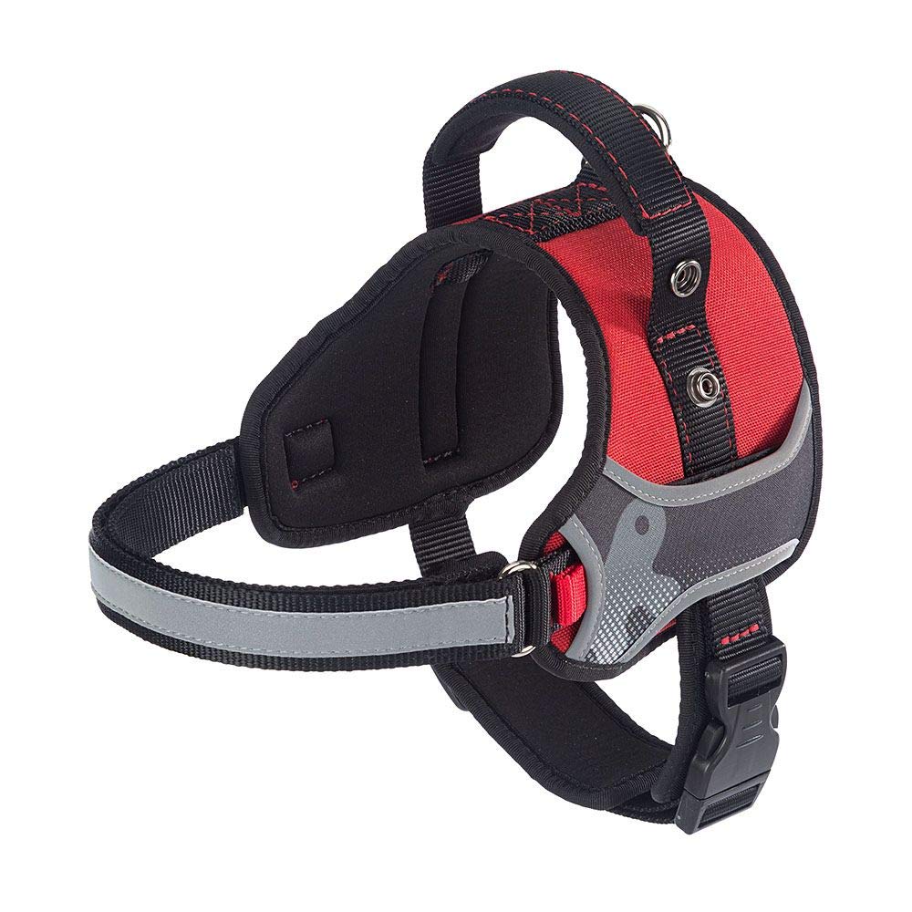 Dog Harness HERCULES EXTRA SMALL, Adjustable, Padded, Resistant, Scratchproof, Visible in the Dark, with Handle