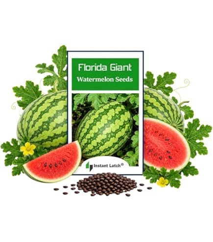 Amazon.com : Sweet Dakota Rose Watermelon - 25 Seeds - Unique Pink