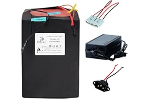 BtrPower Ebike Battery 48V 52V 60A 72V 10AH 18AH 20AH 30AH 50AH Lithium Ion / LiFePO4 Battery Pack with 3A/5A Charger,50A/80A BMS for 300W-4500W Motor
