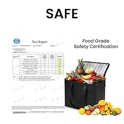 Small Insulated Cooler Bag and Food Warmer for